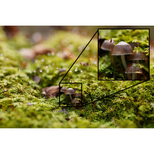 Sony FE 50mm f/1.2 GM Lente para Sony E / SEL50F12GM - Imagen 9
