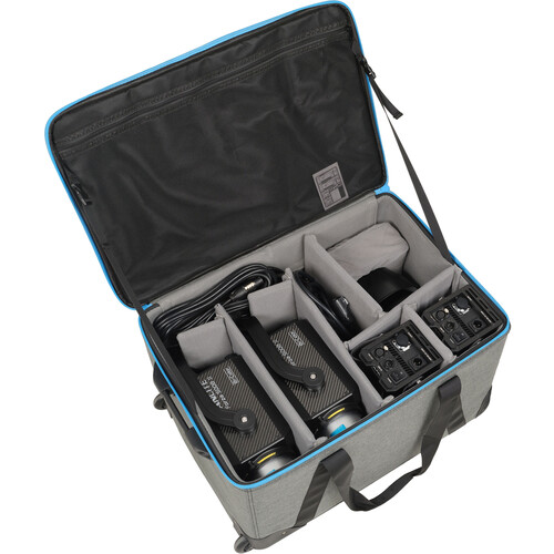 Nanlite Kit Forza 500B II Bi-Color LED Monolight Maleta de Viaje de 2 Cabezales Montura Bowens S / 12-2046 2KIT-ST - Imagen 8