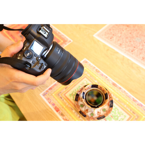 Canon RF 10-20mm f/4 L IS STM Lente para Mirrorless / 6182C003 - Imagen 8