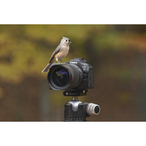 Canon EOS R6 Mark III Cámara Mirrorless / 7084C003 - Imagen 10