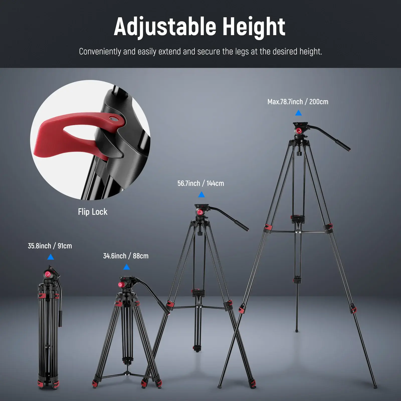 Neewer TP-M200 Trípode de Video con Cabezal Fluido (200cm) - Imagen 2