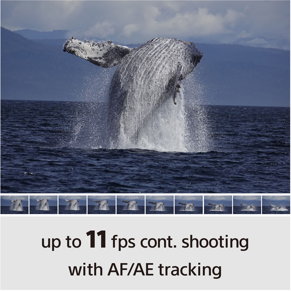 Sony Alpha a6100 Kit Cámara Mirrorless 24.2MP + Lente 16-50mm / ILCE6100K/B - Imagen 20