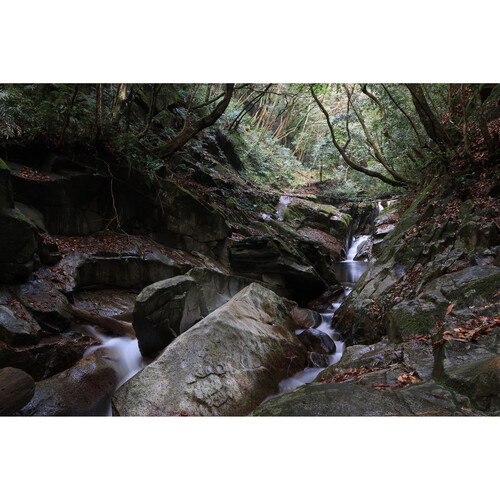 Canon RF-S 18-150MM f/3.5-6.3 IS STM / 5564C003 - Imagen 10