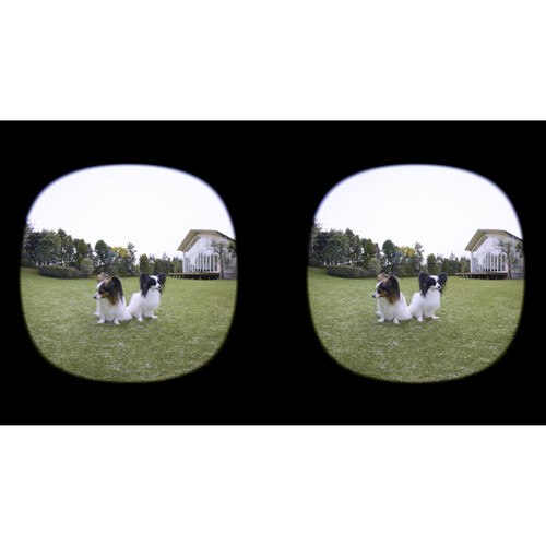 Canon RF-S 3.9MM f/3.5 STM DUAL FISHEYE / 6578C003 - Imagen 6