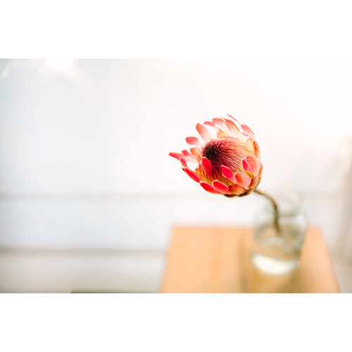 Sigma 35mm f/1.2 DG II Art Lente para Sony E / SG20317 - Imagen 10