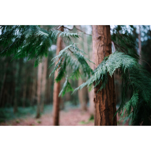 Sigma 35mm f/1.2 DG II Art Lente para Sony E / SG20317 - Imagen 7