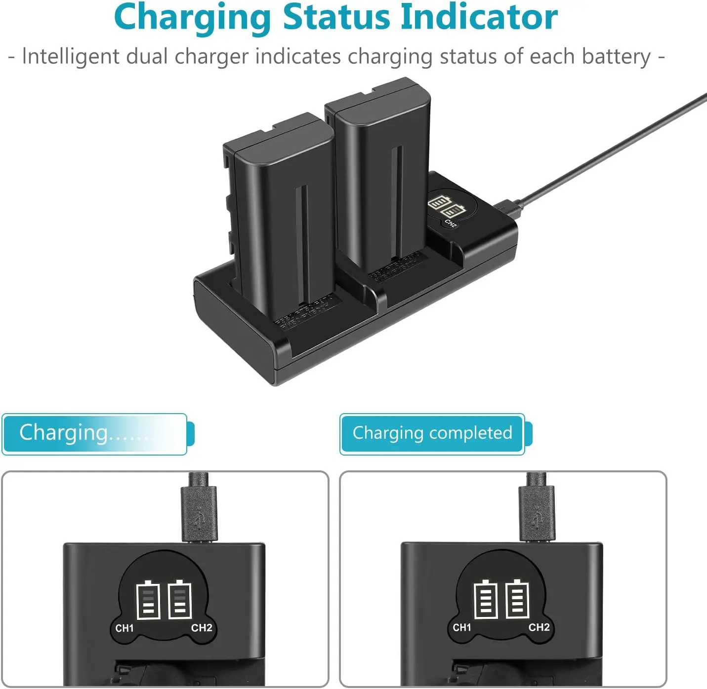Neewer NP-F550 Kit de 2 Baterías de 2600mAh con Cargador USB Dual - Imagen 4