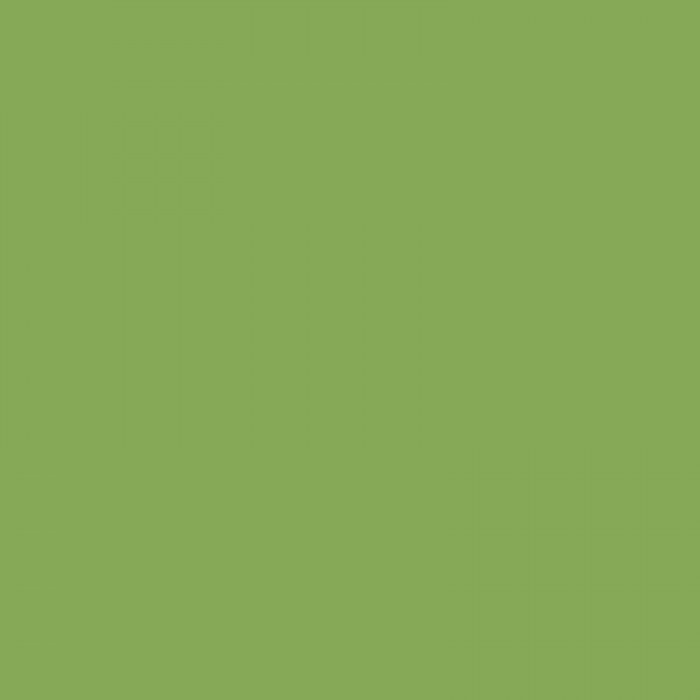 BD Company BD-132-A-2 Fondo de Papel Very Green (1,35x11m)